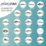 AlbaStar Tam Takım Göl ve Deniz Olta Seti - Görsel 4