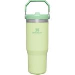 Stanley The IceFlow Flip Straw Pipetli Termos Bardak 0,89 LT Açık Yeşil