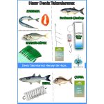 Oltamix Profosyonel Deniz ve Göl Olta Seti Hazır Olta Takımı - Görsel 3