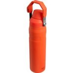 Stanley The Aerolight Iceflow Su Matarası Fast Flow 0.6 L Tigerlily - Görsel 2