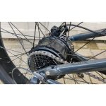 Ape Ryder  Buffalo-F Orta Süspansiyonlu Elektrikli Bisiklet - Görsel 3