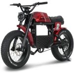 Ape Ryder Gibbon Elektrikli Bisiklet - Görsel 3