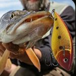 78 Parça Balık Yem Ve Balık Tutma Seti - Görsel 3