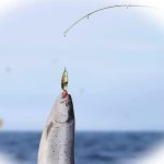 78 Parça Balık Yem Ve Balık Tutma Seti - Görsel 5